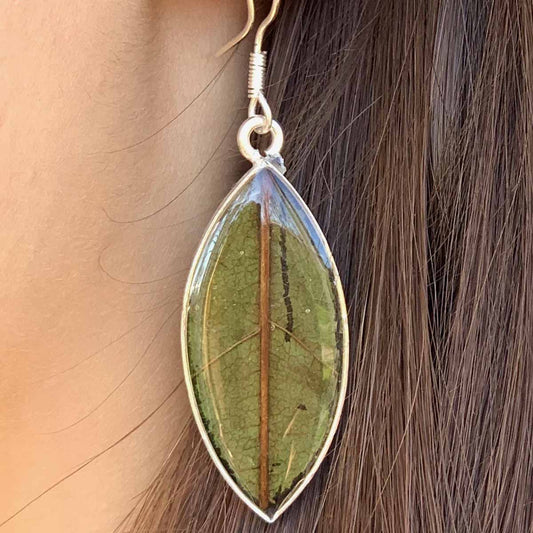 Earrings, Natural Leaf in Resin - Recetas Fair Trade