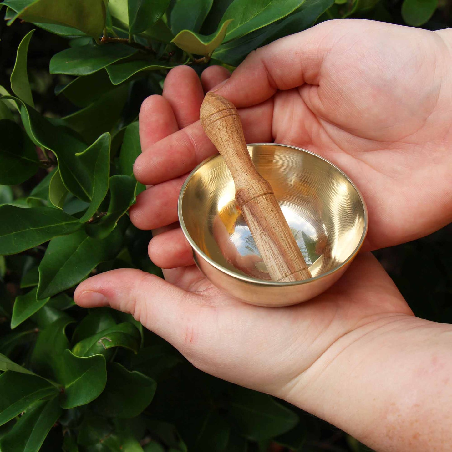Meditation Bowl Box: 3'' Red Lotus - DZI (Meditation) - Recetas Fair Trade