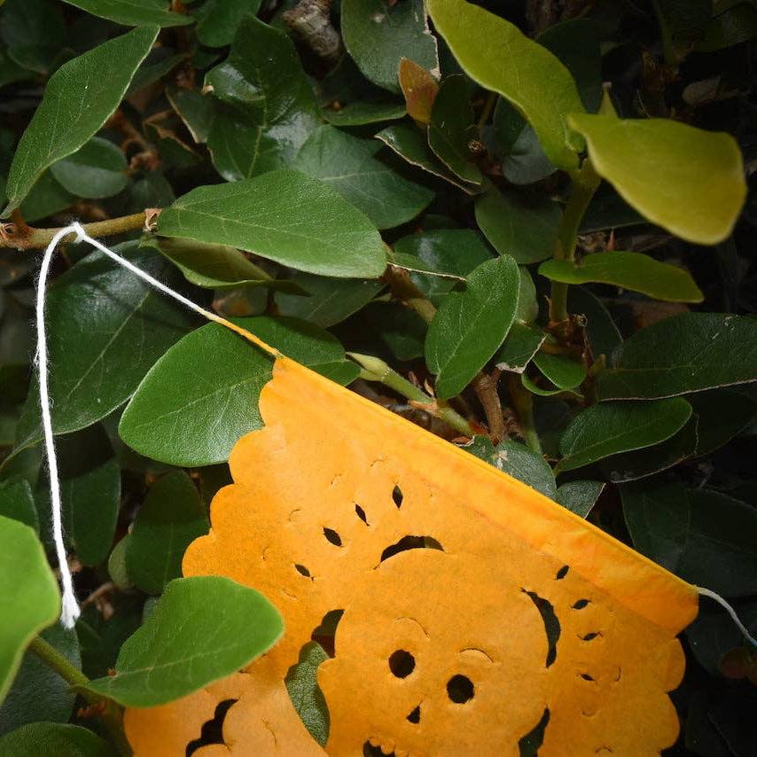 Mini Day of the Dead Papel Picado - Recetas Fair Trade